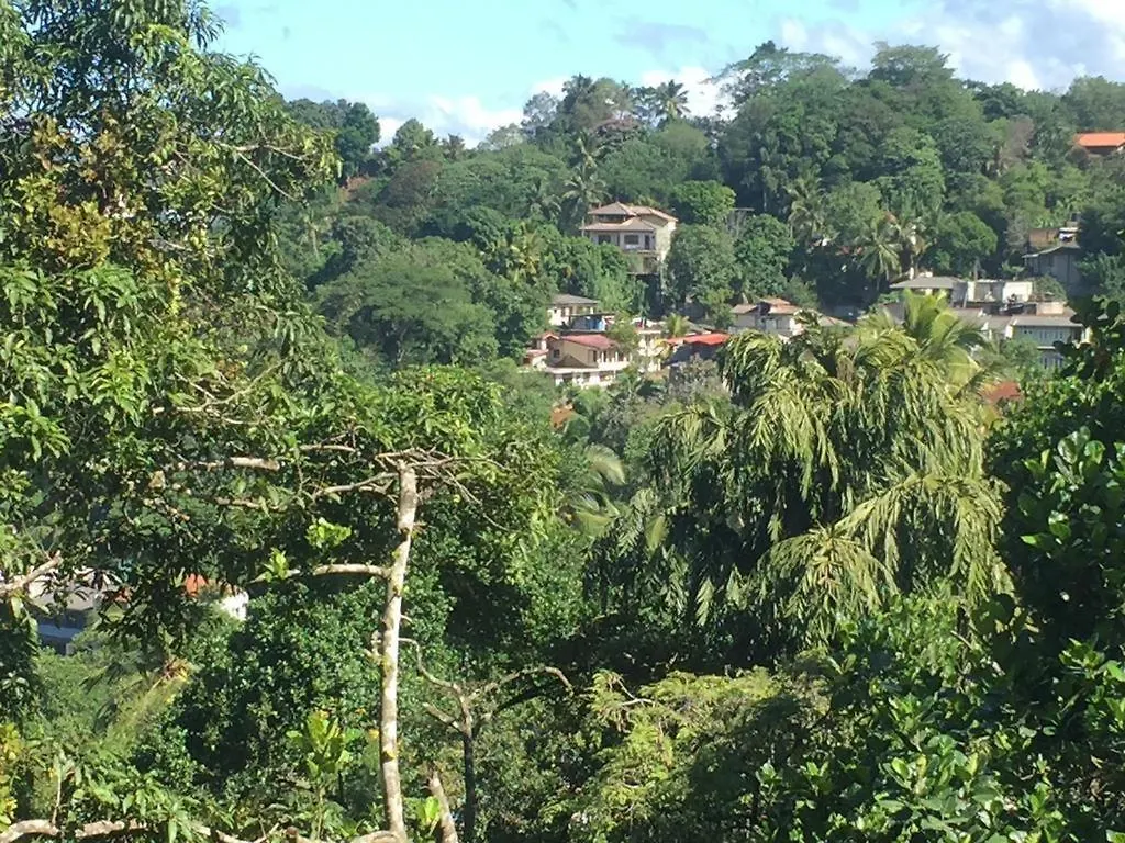 4 Rooms Fully Furnished House For Rent Kandy Holiday home
